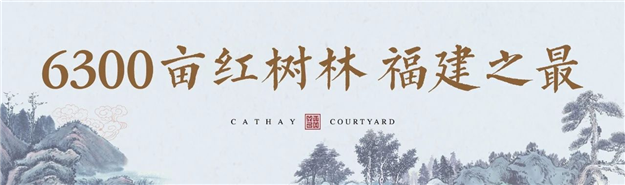 这里推窗即可瞰海,悦享6300亩红树林鲜氧生活——九房网 这里推窗即可瞰海,悦享6300亩红树林鲜氧生活——九房网