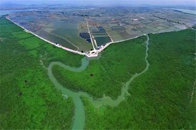 这里推窗即可瞰海,悦享6300亩红树林鲜氧生活——九房网 这里推窗即可瞰海,悦享6300亩红树林鲜氧生活——九房网