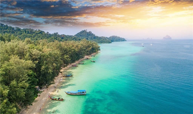 这里推窗即可瞰海,悦享6300亩红树林鲜氧生活——九房网 这里推窗即可瞰海,悦享6300亩红树林鲜氧生活——九房网