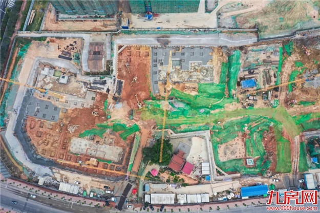 护京花园！——九房网