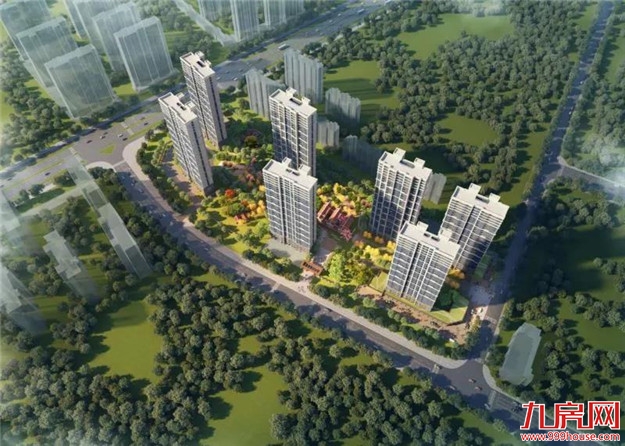 护京花园！——九房网