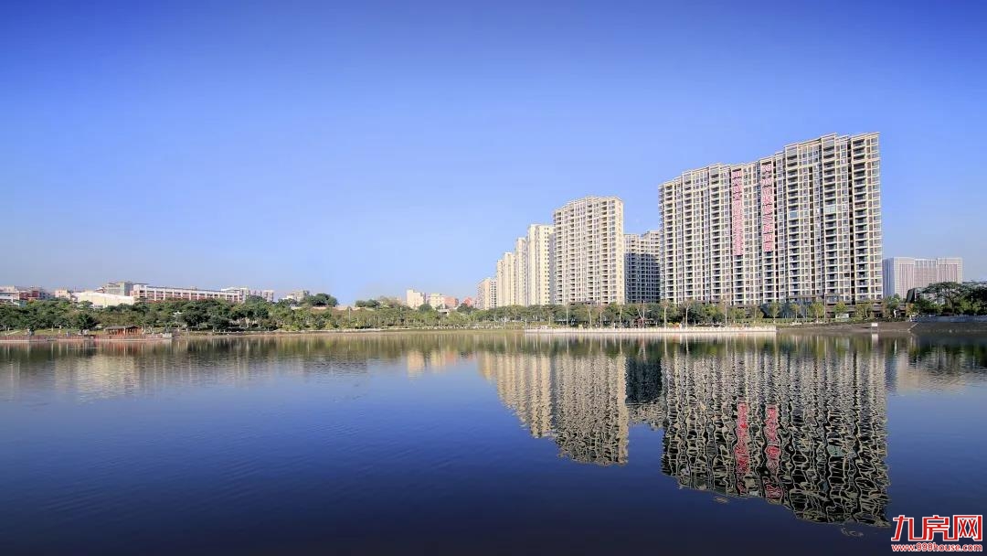 归心处是吾乡,2021留「厦」过年——九房网 归心处是吾乡,2021留「厦」过年——九房网