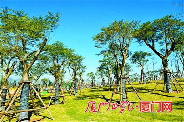 厦门房产,厦门房地产,厦门新房,九房网,厦门房产