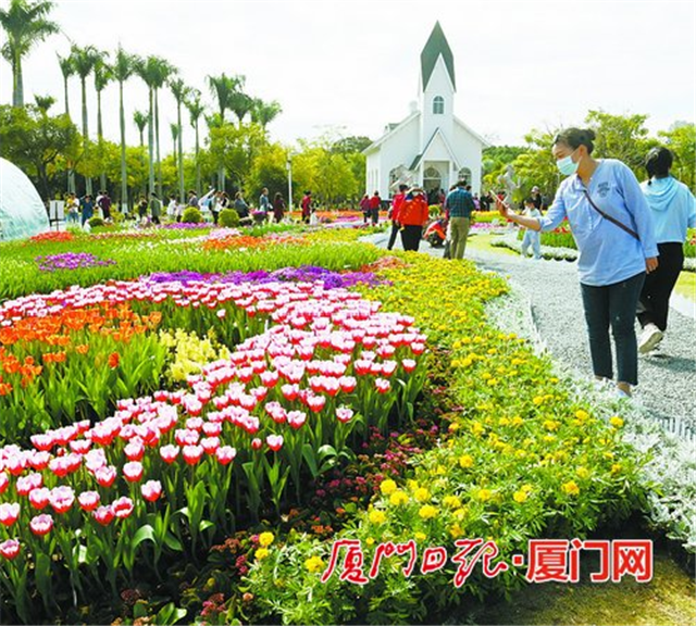 新体育中心上央视！翔安南部新城建设加速，爆发在即！——九房网