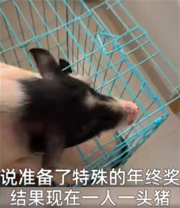 厦门房产,厦门房地产,厦门新房,九房网,厦门房产 厦门房产,厦门房地产,厦门新房,九房网,厦门房产