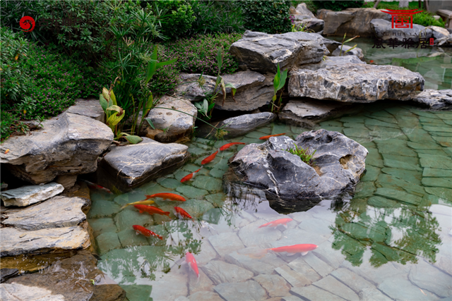 不负久候,惊艳全城!【风华雅居】销售中心耀世开放——九房网 不负久候,惊艳全城!【风华雅居】销售中心耀世开放——九房网