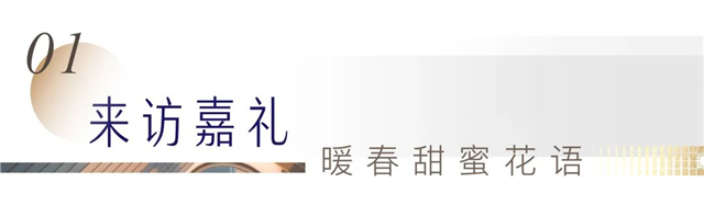 春归计划 | 优雅盛启岛心奢定四重礼奏!——九房网 春归计划 | 优雅盛启岛心奢定四重礼奏!——九房网