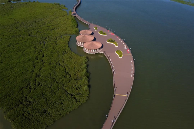 重磅！厦门新一轮城市格局敲定！事关6大片区未来发展！——九房网