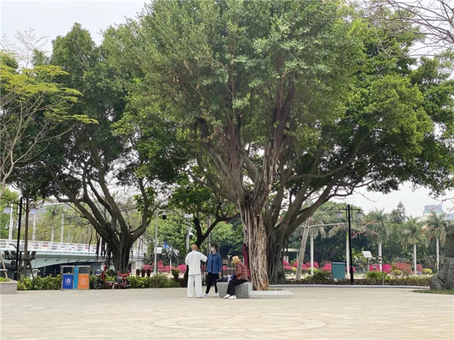 你家的“后花园”开放啦！筼筜湖畔多了两个口袋公园！快去逛逛~——九房网