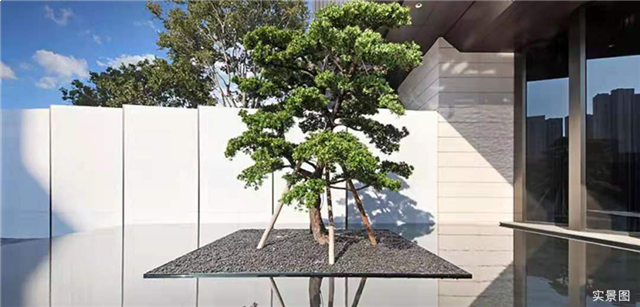 首开龙湖璟宸府|一树一世界 一石一千秋——九房网