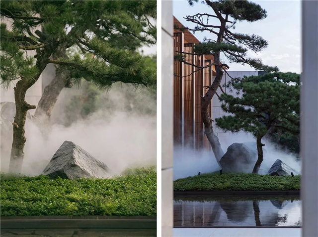 首开龙湖璟宸府|一树一世界 一石一千秋——九房网