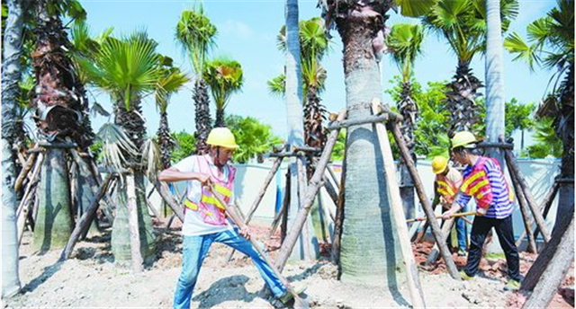 厦门一条海上生态景观走廊开建：连接三个公园 预计明年部分开放——九房网