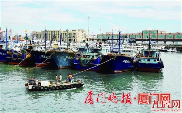 厦门房产,厦门房地产,厦门新房,九房网,厦门房产