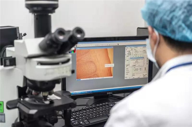 又一国内一流项目落定厦门！选址在……——九房网