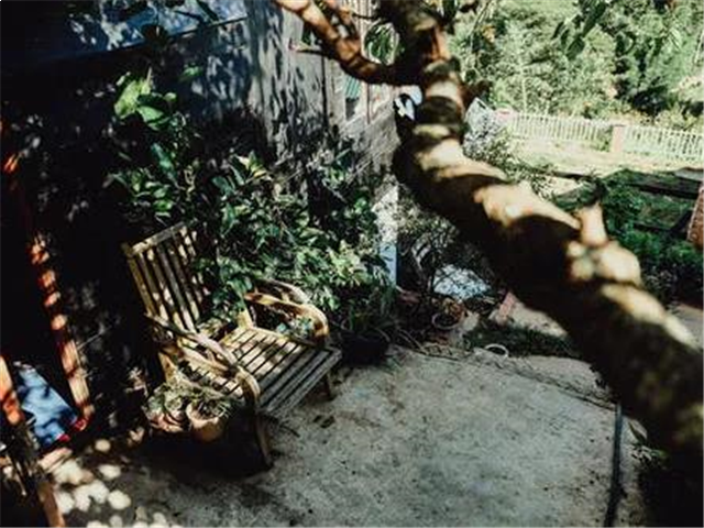 假如你有一个海边花园？——九房网