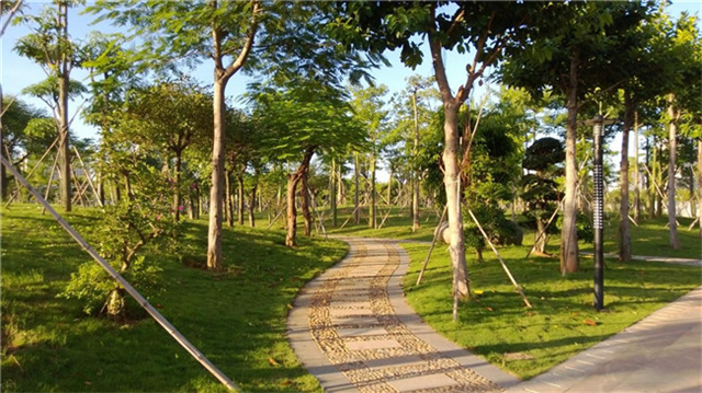 首开龙湖·璟宸府|翔安多座公园进行改造提升,遇见万般美好——九房网 首开龙湖·璟宸府|翔安多座公园进行改造提升,遇见万般美好——九房网