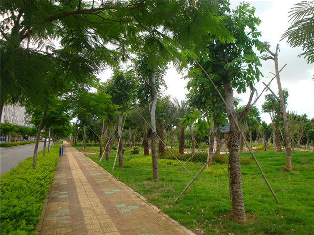 首开龙湖·璟宸府|翔安多座公园进行改造提升,遇见万般美好——九房网 首开龙湖·璟宸府|翔安多座公园进行改造提升,遇见万般美好——九房网