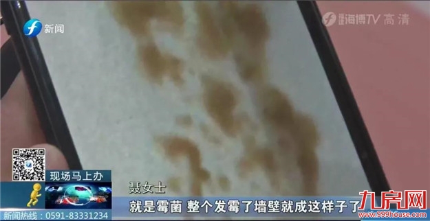 交付不到一年!整栋楼、近千户漏水、渗水!业主欲哭无泪!——九房网 交付不到一年!整栋楼、近千户漏水、渗水!业主欲哭无泪!——九房网