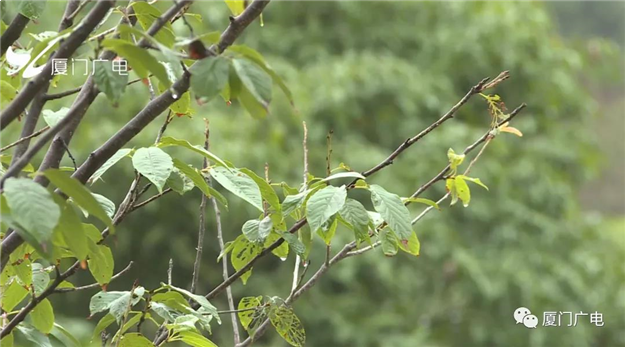 厦门房产,厦门房地产,厦门新房,九房网,厦门房产 厦门房产,厦门房地产,厦门新房,九房网,厦门房产