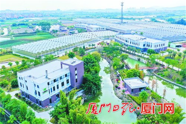 明确8条新建的乡村振兴动线：涉及厦门30个村 全长73.9公里——九房网