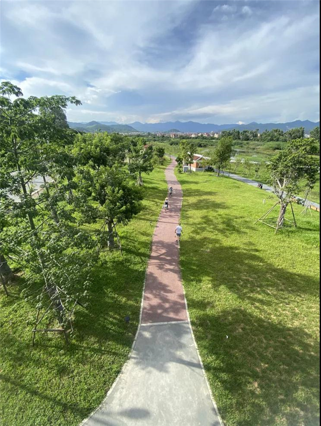 岛外14所公办普高将增加近4万个学位！具体位置在……——九房网