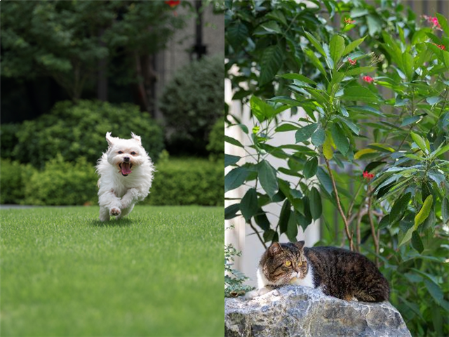 景粼洋房 | 堪比住在景区里,是种什么体验?——九房网 景粼洋房 | 堪比住在景区里,是种什么体验?——九房网