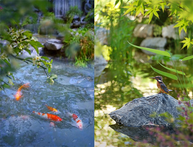 景粼洋房 | 堪比住在景区里,是种什么体验?——九房网 景粼洋房 | 堪比住在景区里,是种什么体验?——九房网