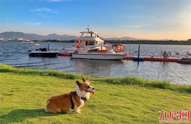 突发!项目停工!交房延期!又一千亿房企暴雷!福州三盘将…——九房网 突发!项目停工!交房延期!又一千亿房企暴雷!福州三盘将…——九房网