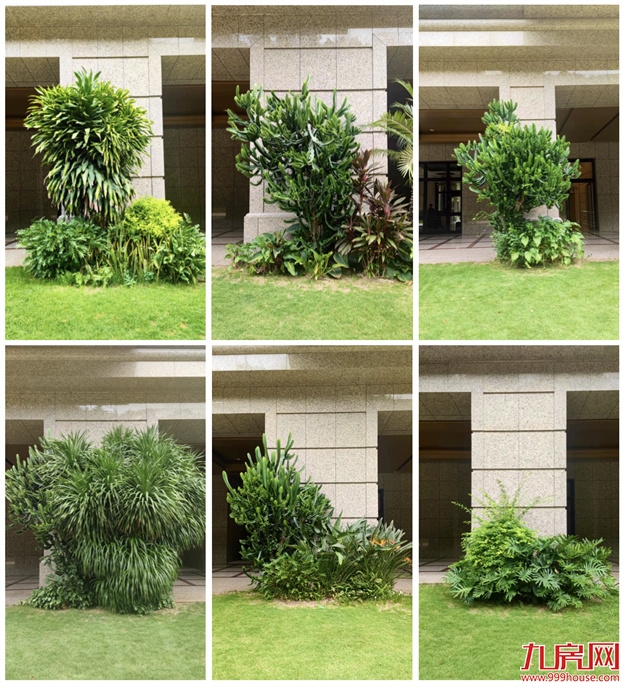 厦门，唯一一个被妖魔化的顶级豪宅 | 中篇——九房网