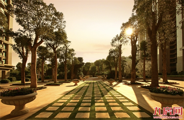 厦门，唯一一个被妖魔化的顶级豪宅 | 中篇——九房网