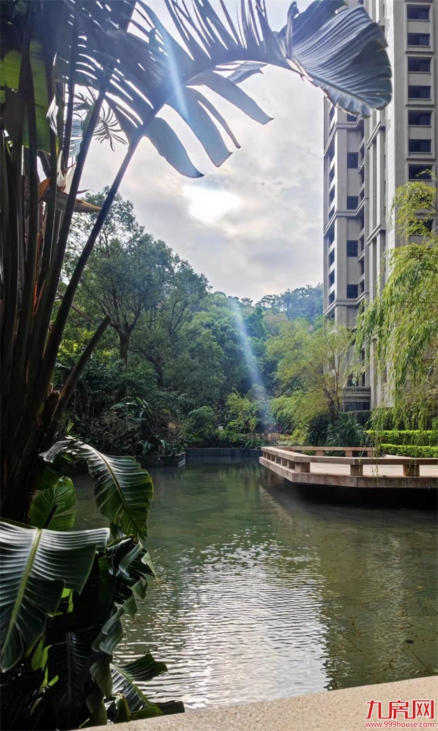 厦门，唯一一个被妖魔化的顶级豪宅 | 中篇——九房网