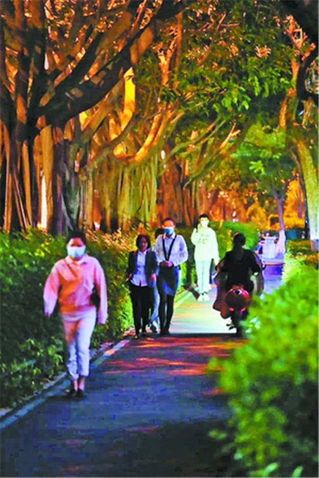 云顶中路人行道及非机动车道 明年1月底有望全线亮灯——九房网