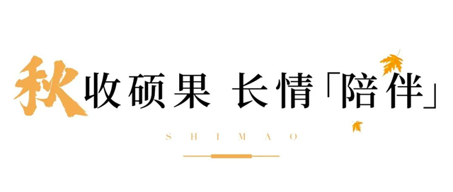 100张照片,记录世茂与你走过的2021——九房网 100张照片,记录世茂与你走过的2021——九房网