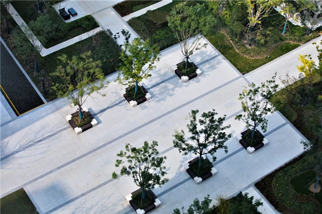 100张照片,记录世茂与你走过的2021——九房网 100张照片,记录世茂与你走过的2021——九房网