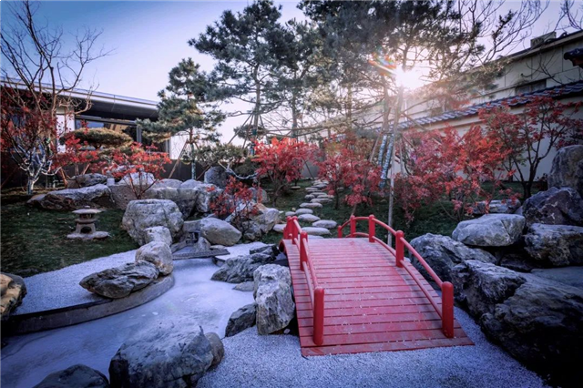 100张照片,记录世茂与你走过的2021——九房网 100张照片,记录世茂与你走过的2021——九房网