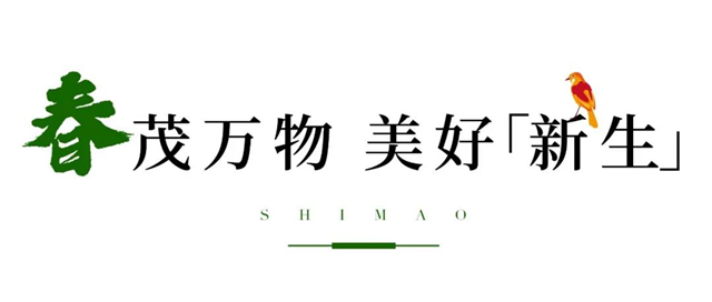 100张照片,记录世茂与你走过的2021——九房网 100张照片,记录世茂与你走过的2021——九房网