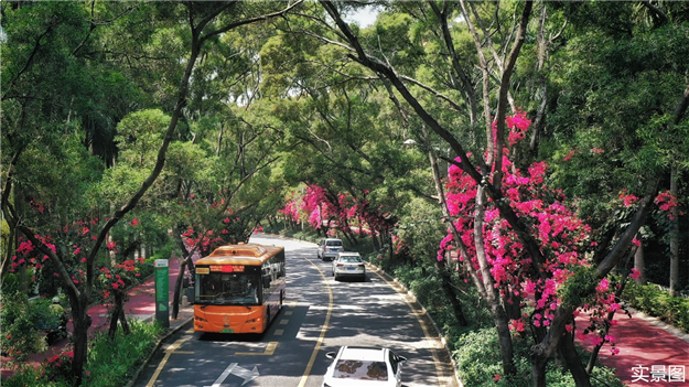 厦门房产,厦门房地产,厦门新房,九房网,厦门房产