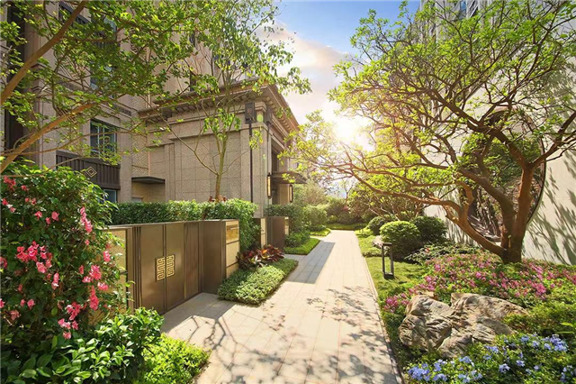 入厦十载，这个多面手为何持续加仓？——九房网