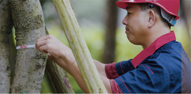 一颗离家出走的树——九房网