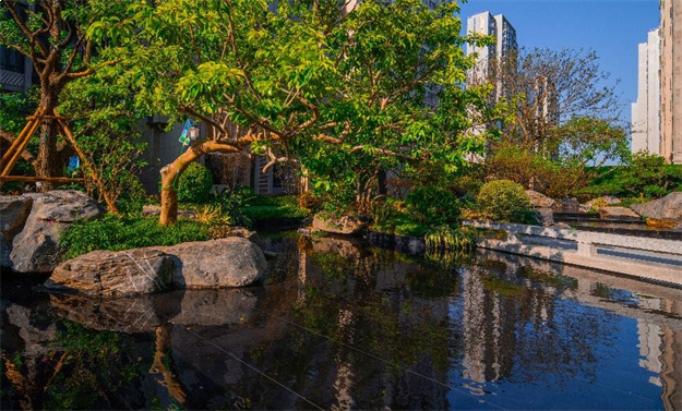 一颗离家出走的树——九房网