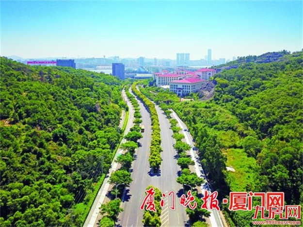 74.7公里！马青路、杏滨路...厦门这条滨海路串起最美海岸线！——九房网