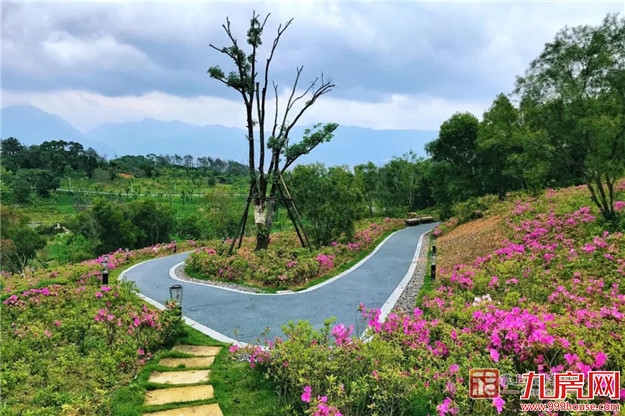 全球公开招标!福州要建国际一流植物园!——九房网 全球公开招标!福州要建国际一流植物园!——九房网