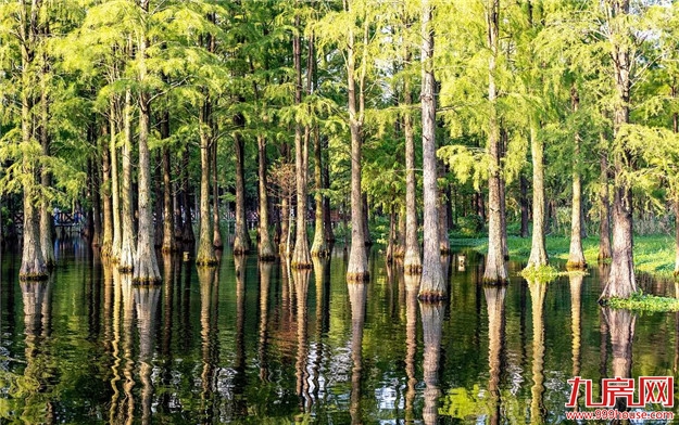 招商蛇口华东区域|“36h撒野计划”邂逅向往的生活——九房网 招商蛇口华东区域|“36h撒野计划”邂逅向往的生活——九房网