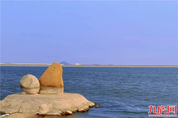 招商蛇口华东区域|“36h撒野计划”邂逅向往的生活——九房网 招商蛇口华东区域|“36h撒野计划”邂逅向往的生活——九房网