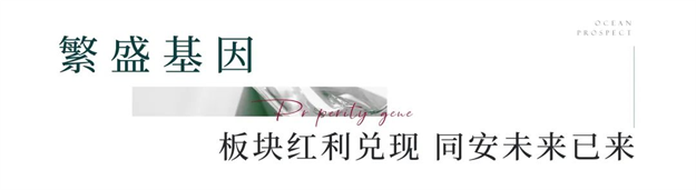 炸裂!全城劲销!深度解析热销红盘背后的爆场逻辑——九房网 炸裂!全城劲销!深度解析热销红盘背后的爆场逻辑——九房网