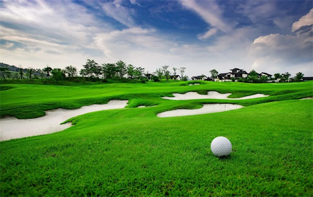 百余全国主流媒体齐聚桃李春风,探寻美好生活原点——九房网 百余全国主流媒体齐聚桃李春风,探寻美好生活原点——九房网