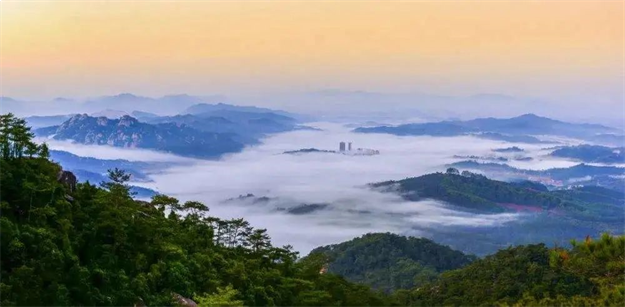 百余全国主流媒体齐聚桃李春风,探寻美好生活原点——九房网 百余全国主流媒体齐聚桃李春风,探寻美好生活原点——九房网