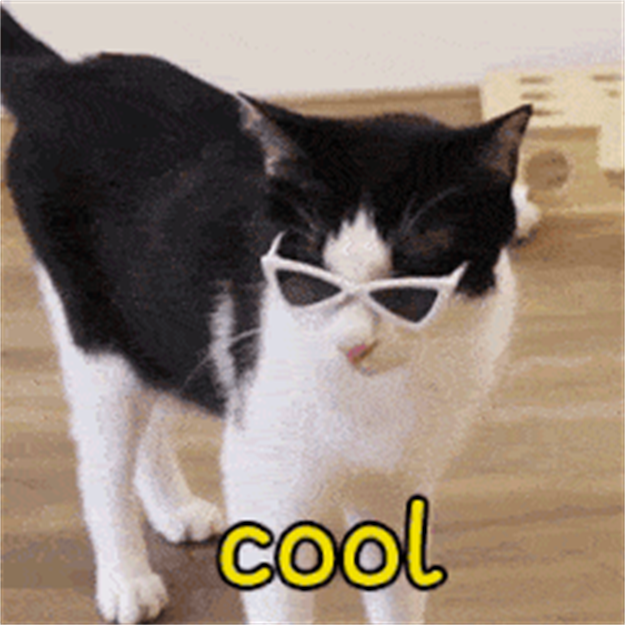 猛料来袭!厦门将大变样!家在这里的要发达啦!——九房网 猛料来袭!厦门将大变样!家在这里的要发达啦!——九房网