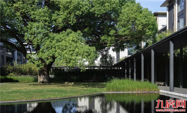 市中心坐拥800亩中央公园,300万起入住登云湖富人区——九房网 市中心坐拥800亩中央公园,300万起入住登云湖富人区——九房网