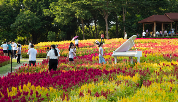 PLUS黄金周,近12.6万人打卡了厦门园博苑!有你吗?——九房网 PLUS黄金周,近12.6万人打卡了厦门园博苑!有你吗?——九房网